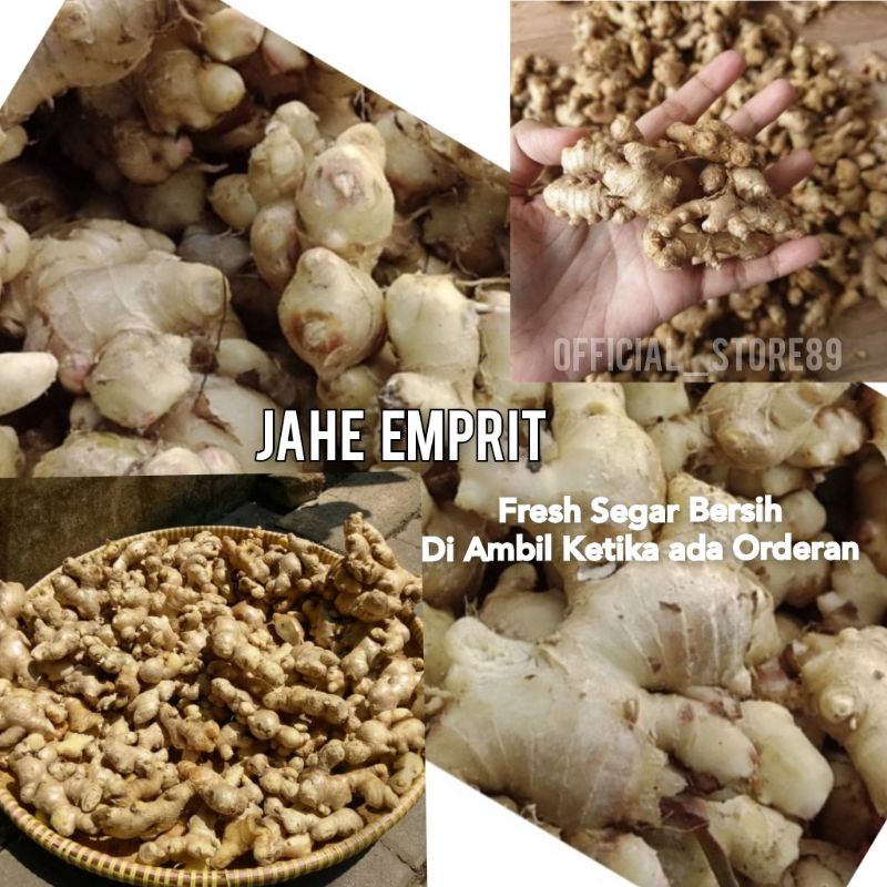 

JAHE EMPRIT MASIH FRESH SEGAR 1 KG BANYAK KASIATNYA