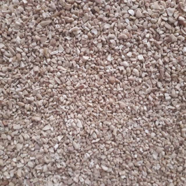 

Kacang mete menir/mentah/1kg