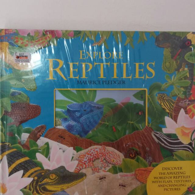 Explore Reptiles