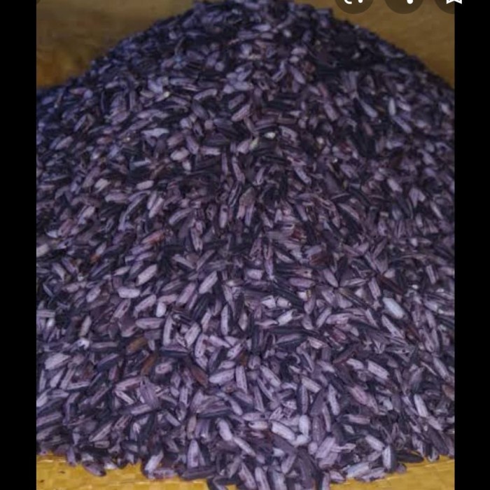 

KETAN-BERAS- KETAN HITAM KUPAS PER 1 KG -BERAS-KETAN.