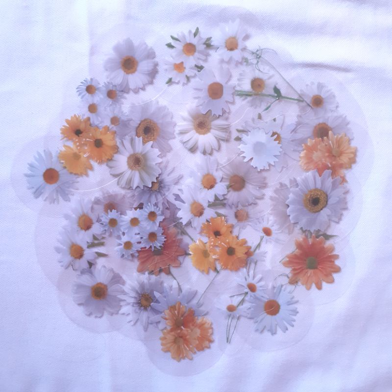 STICKERS DAISY || STICKER BUNGA  || STIKER AESTHETIC