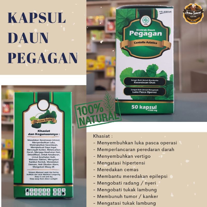 

Kapsul Daun Pegagan