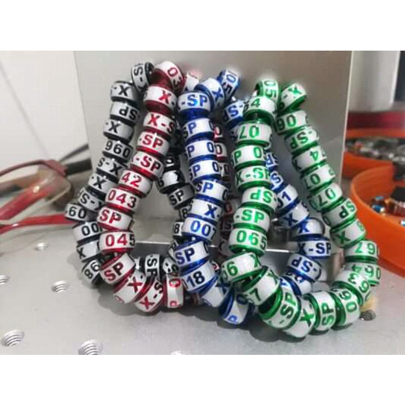 RING BURUNG MD DONAT WINNER || MERPATI PP MURAI KUTUT