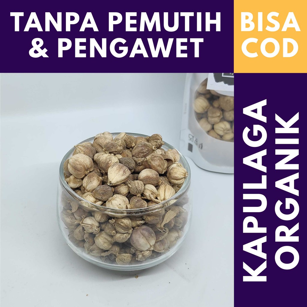 

Kapulaga Organik 100% Murni Tanpa Campuran & Pemutih 80gr / Rempah Bumbu Dapur Jsr
