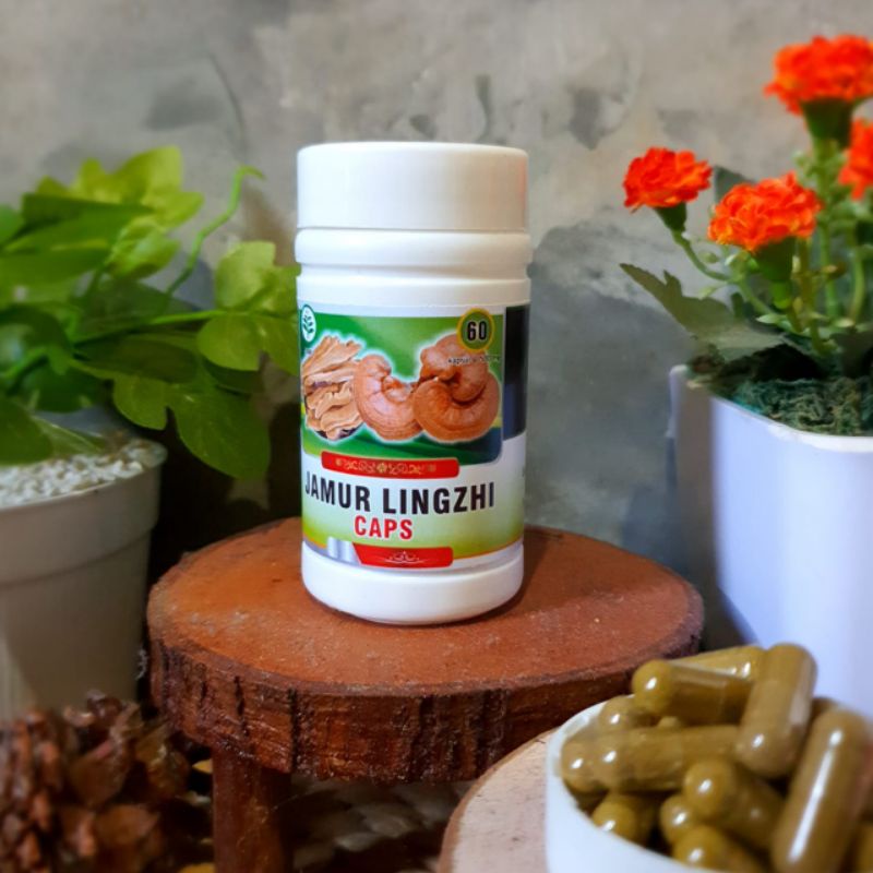 

Jamur Lingzhi Lingzi Obat Kanker Tumor Jamur Original