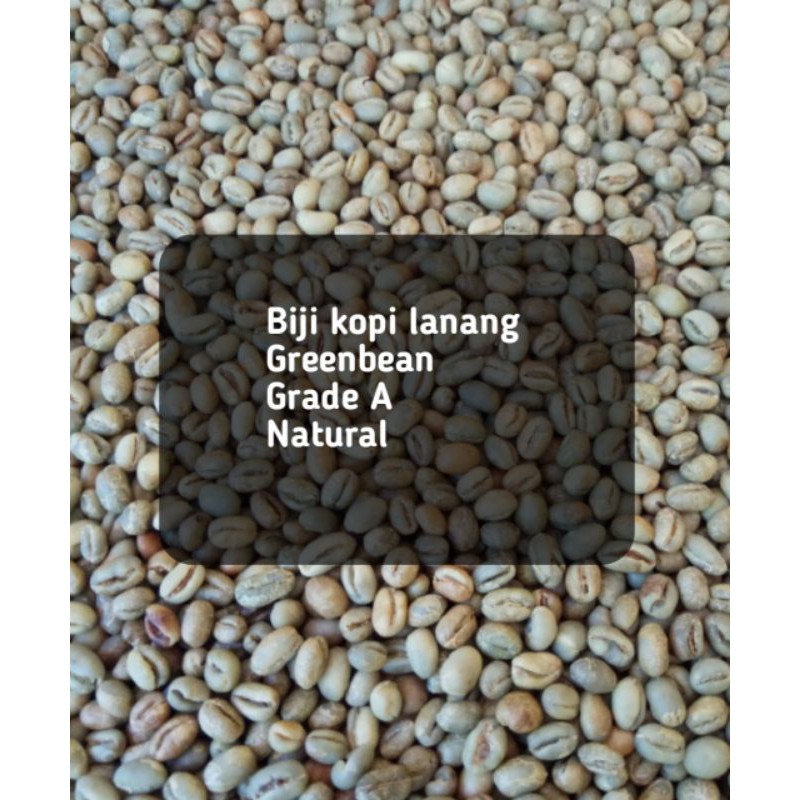 

KOPI LANANG BIJI MENTAH NATURAL ARGOPURO 1KG