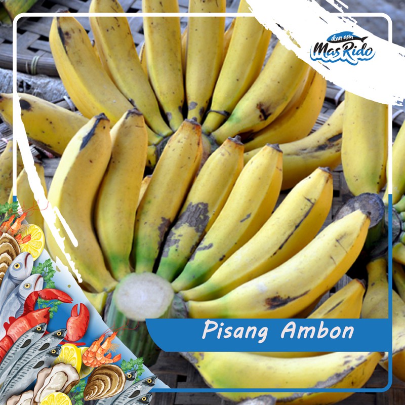 PISANG AMBON MATANG KUNING SEGAR FRESH KWALITAS SUPER HARGA MURAH