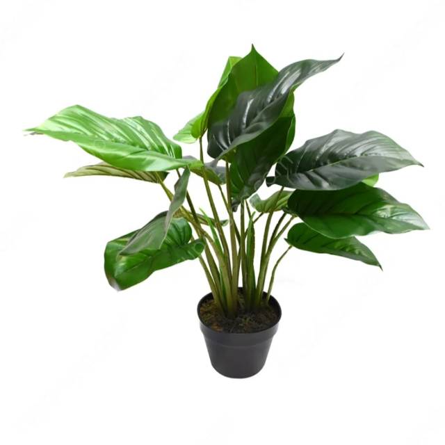 Tanaman artificial pothos Informa