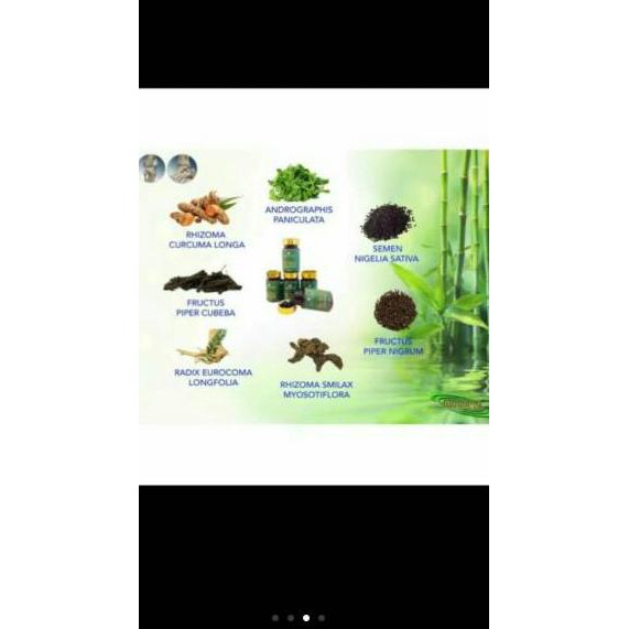 Harga Termurah - BIO NERVE 100% ASLI ORIGINAL OBAT BIO NERVE HERBAL