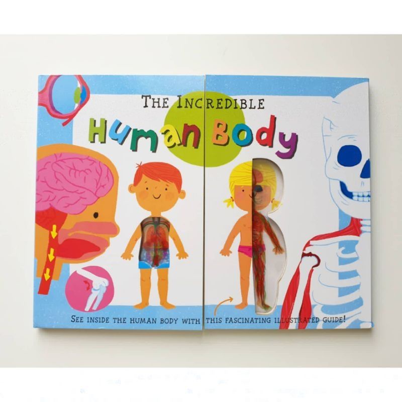 The incredible Human Body