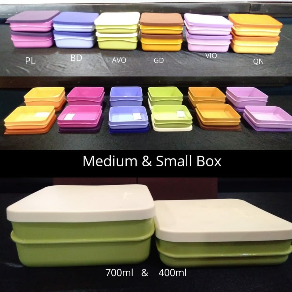 WADAH MAKANAN SMALL BOX TEMPAT MAKAN TULIPWARE