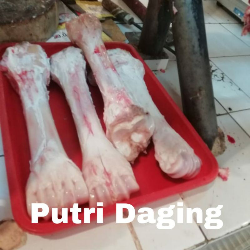 

Tulang Sapi Sumsum Kaki