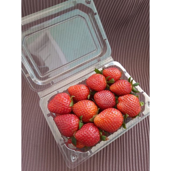 

Buah Strawberry Mencir Fresh Asli Ciwidey