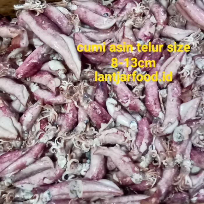 

Cumi Asin Telur - Ukuran 8-13cm - Isi 1kg