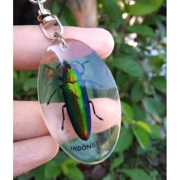 Tren Kekinian Gantung Kunci Samberlilin Shopee Indonesia