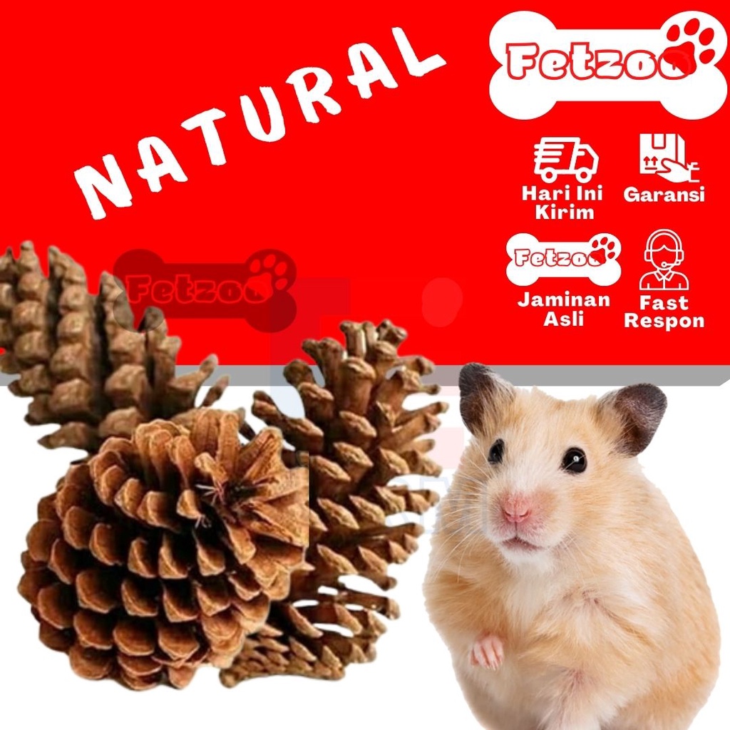 Jual MAINAN GIGIT HAMSTER PINE CONE NATURAL CHEWING FOR HAMSTER MAINAN