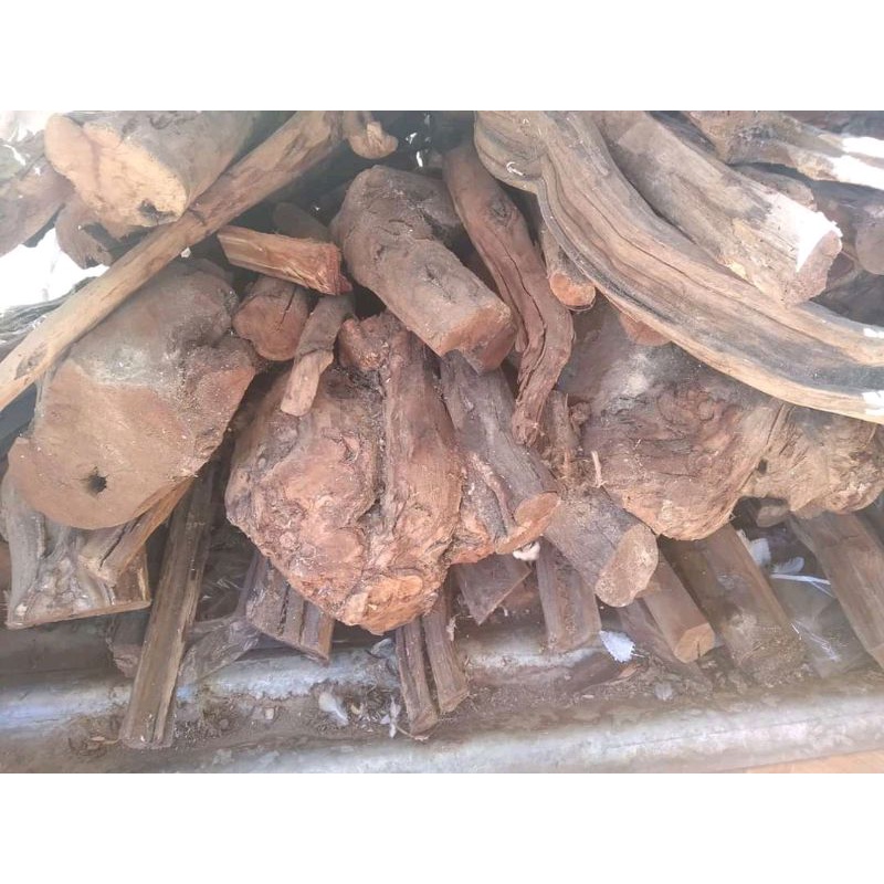 

Akar Kayu Secang