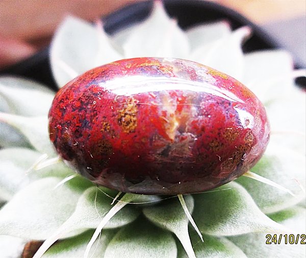 Natural Pancawarna Garut Merah Cabe batu akik Size Jumbo 26mm