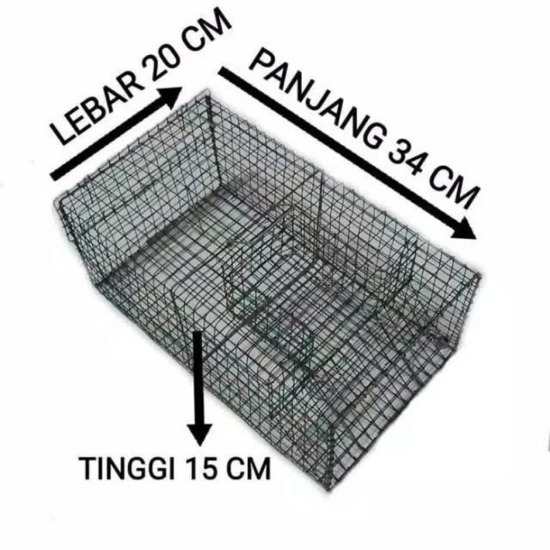 Jebakan Tikus Massal | Perangkap Tikus Massal | Kandang Tikus