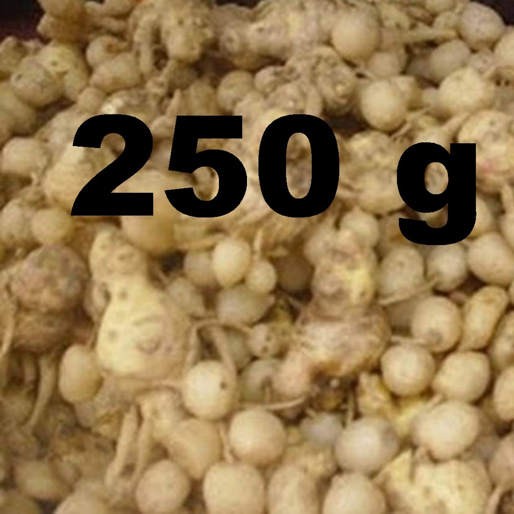 

250 gram Kunyit Putih Segar