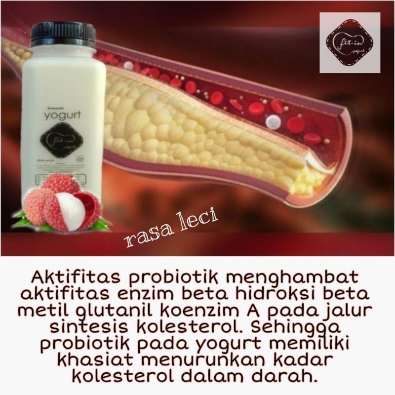 

Fit-In Homemade Yogurt-Leci 250 ml