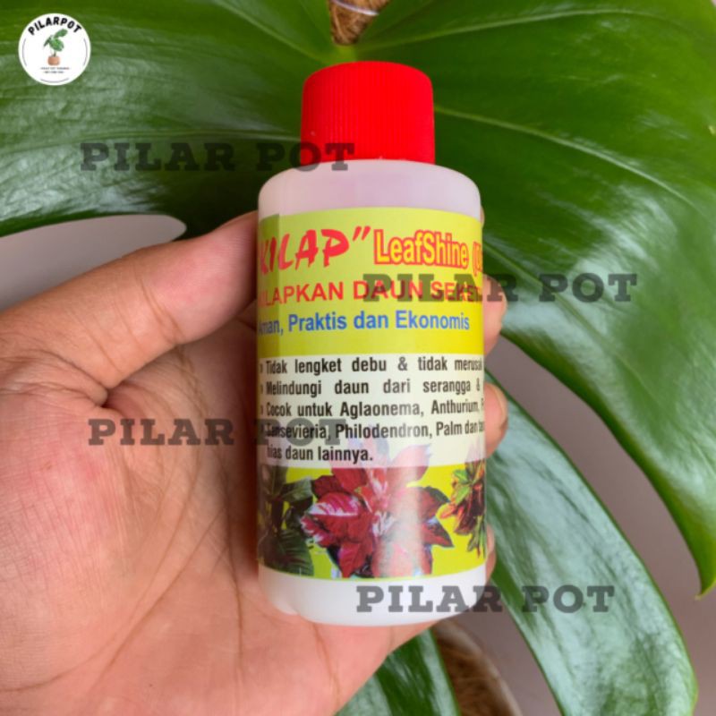 Kilap daun leafshine pengkilat daun 100ml - kilap oles