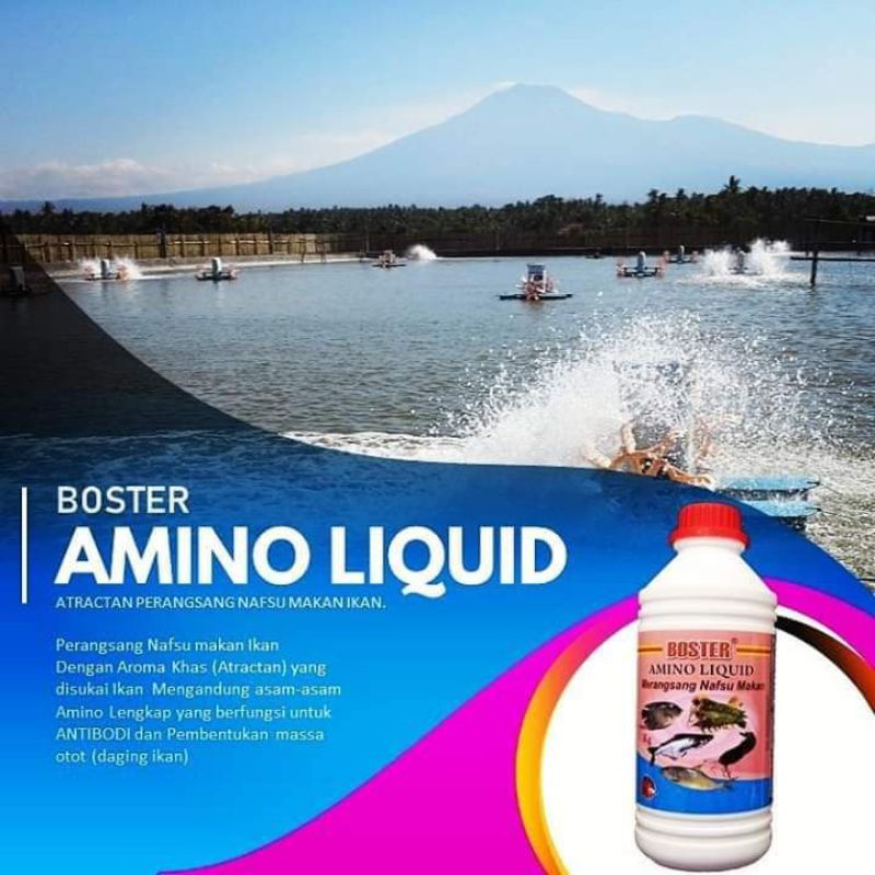 vitamin ikan Boster amino liquid 1 liter