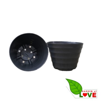 LUSINAN Pot Kopeng 15 Hitam Isi 12pcs TERMURAH GROSIR Pot Lusinan Hitam Murah Termurah 12 20 25 30cm