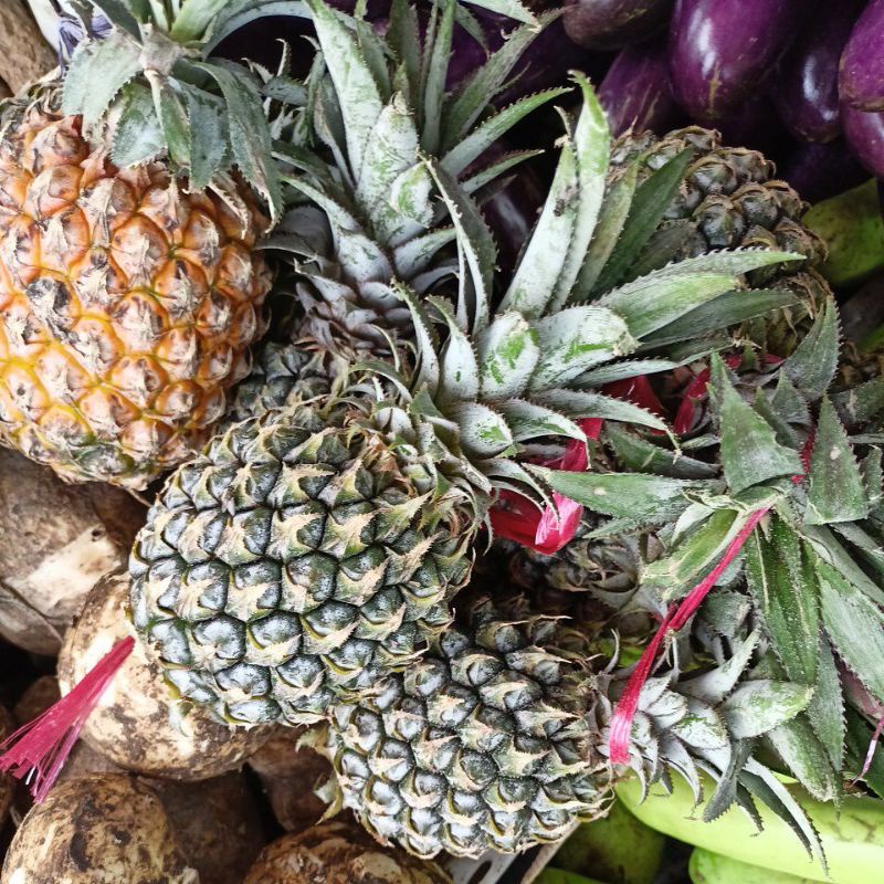 

NANAS BUAH PERBUAH 6000