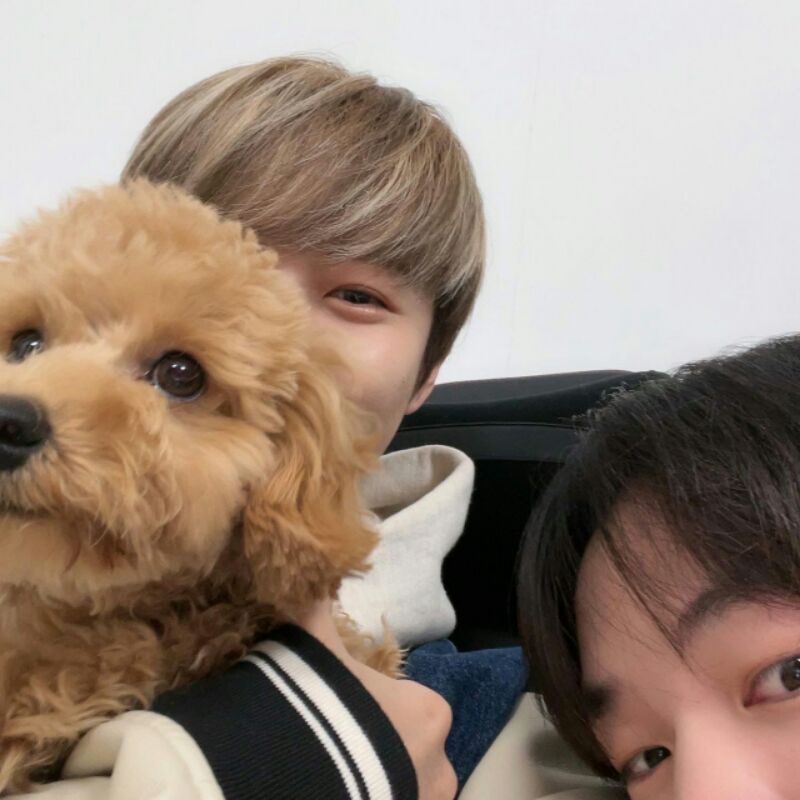 photocard chenle hello future |BOKED|