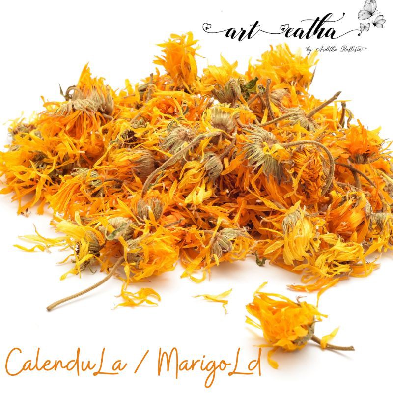 

Grosir Calendula