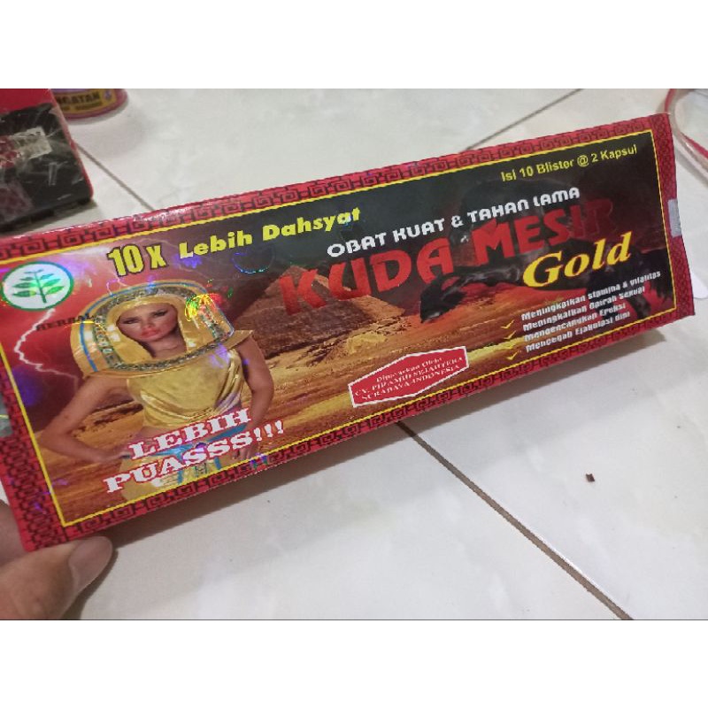 Kuda Mesir gold