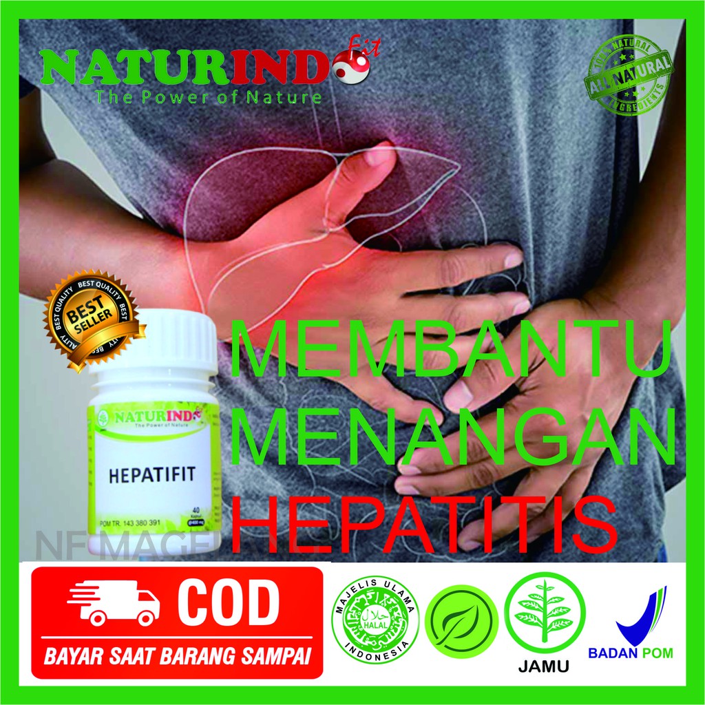OBAT HERBAL kekurangan protein kerusakan pembuluh darah hepatitissirosis hepatitis a hepatitis b