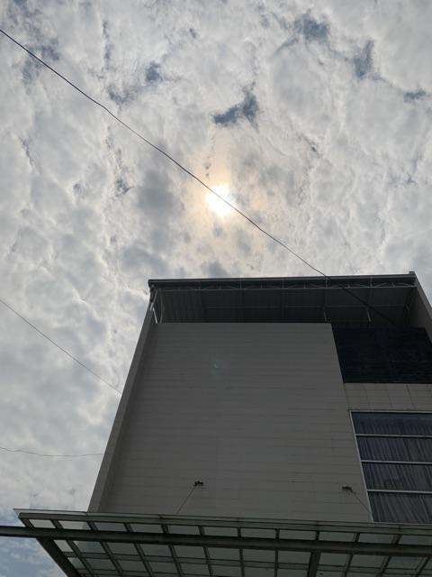 Obh Surya Obat Batuk Berdahak Isi 100ml