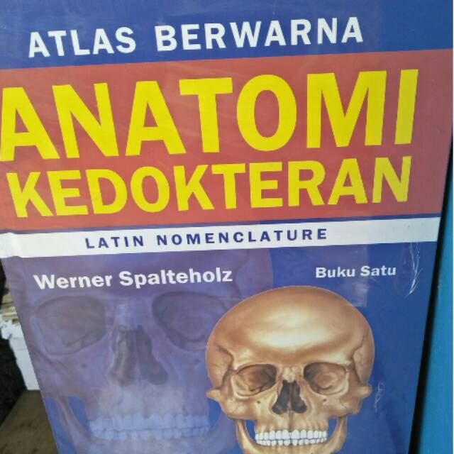 ATLAS BERWARNA ANATOMI KEDOKTERAN