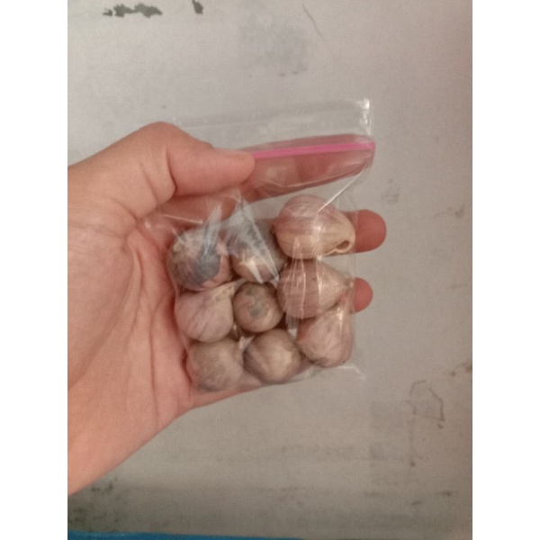 

Laris Rempah. Bawang Lanang. Bawang Tunggal.