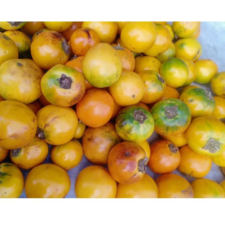 

<U-UKT) <») TERONG ASAM 1Kg //trending)