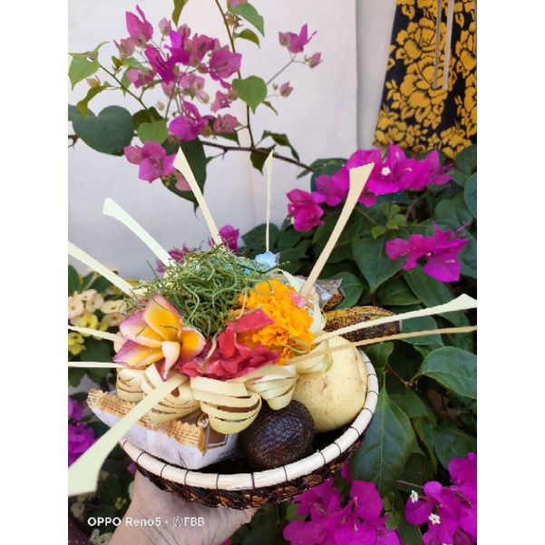 bokor sodan batok kelapa perslop isi 10