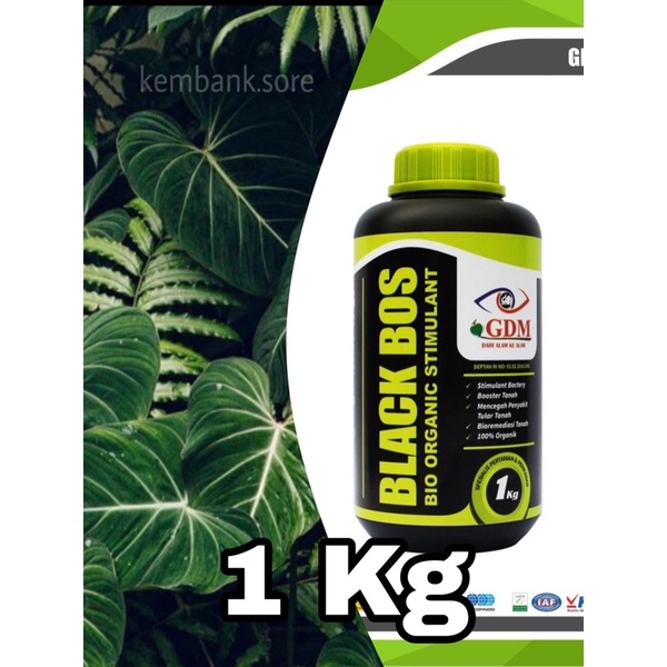 GDM Black bos pupuk organic Cair 1kg