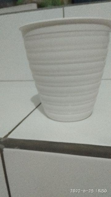 Pot Bunga Tanaman Tawon Putih Tinggi (pirus) 12cm - Mini