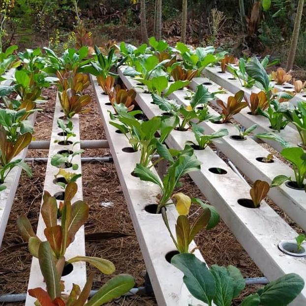 Gully talang kotak hidroponik aquaponik lengkap dengan tutup