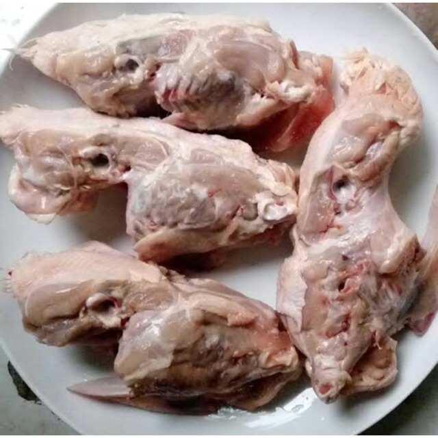 

Tulang Kerongkongan Ayam