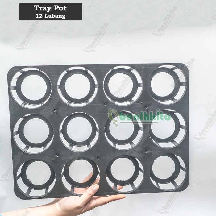 Tray Semai/Pot Tray Bibit Anggrek 12 Lubang