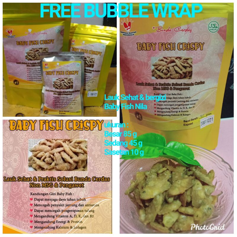 Baby Fish Crispy Lauk Cemilan Sehat Balita Anak Orang Tua Solusi Bunda Cerdas Shopee Indonesia
