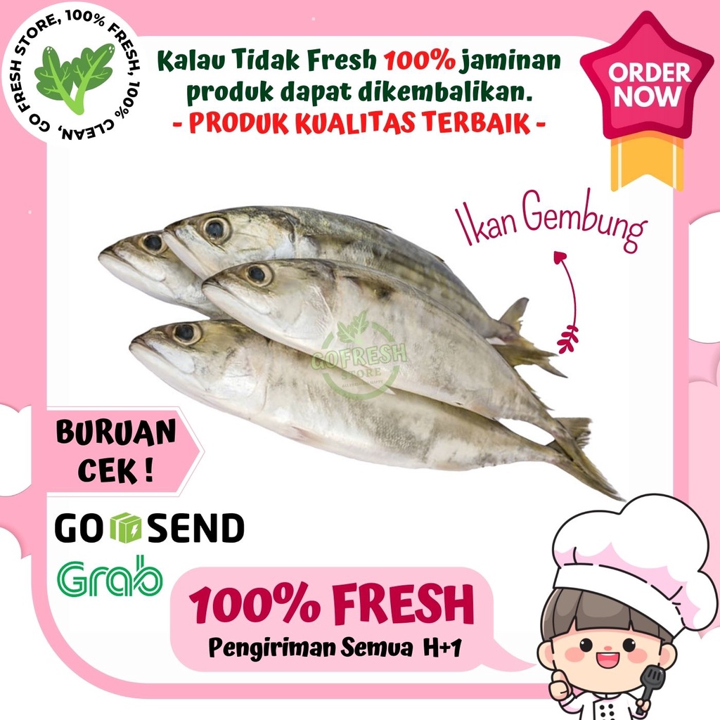 

IKAN GEMBUNG SEGAR FRESH MURAH 500GR