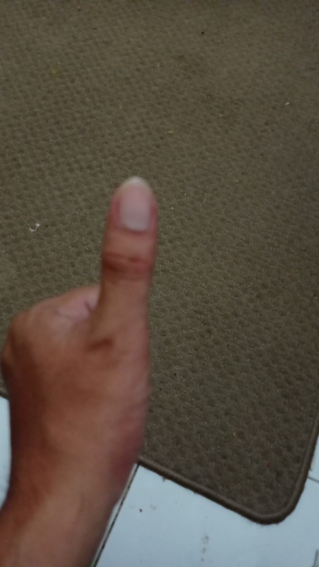 Gantungan Cantolan Besi + Paku Tembok