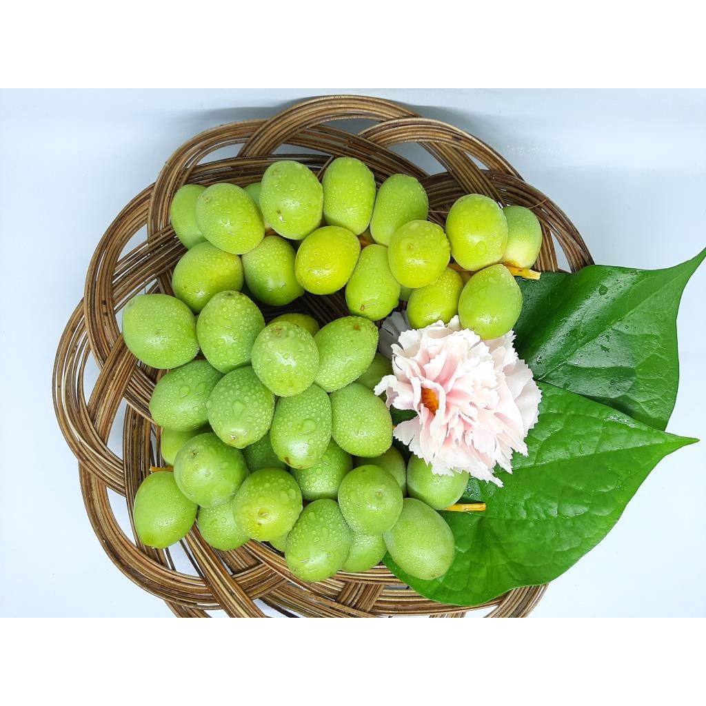 

500gram kurma muda hijau promil fresh ruthob mengkel