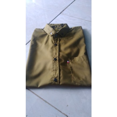 Kemeja Pria Polos Warna Olive Katun Toyobo