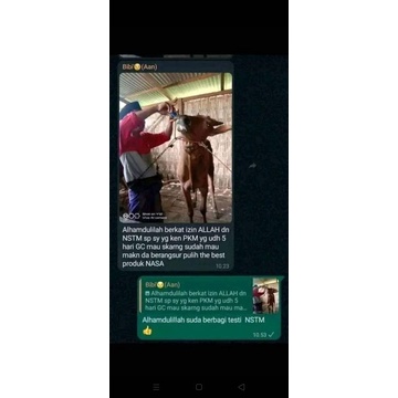 obat sapi (PKM)nstm nasa