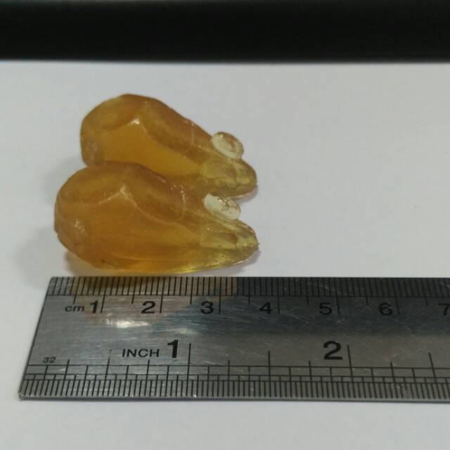 Molding soft frog boitep